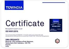 ISO Certificate